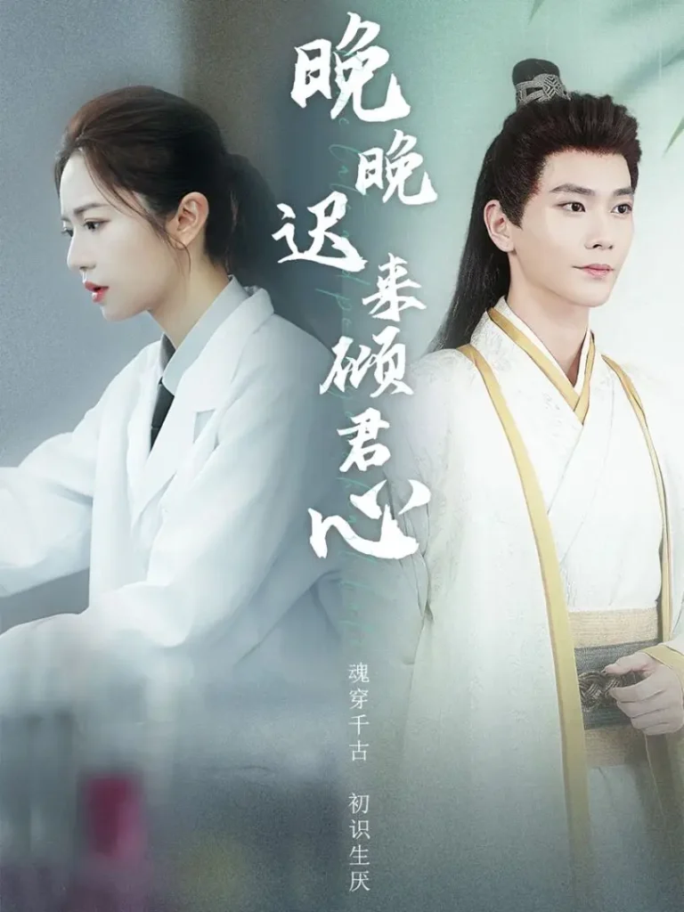 《晚晚迟来倾君心》全集高清完整版在线观看与剧情解析