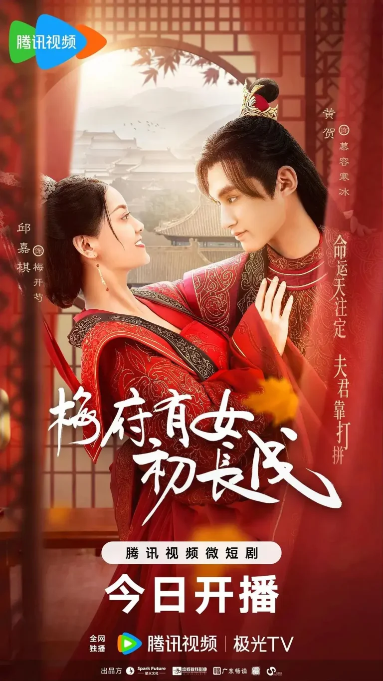 《梅府有女初长成》全集高清完整版在线观看与剧情解析