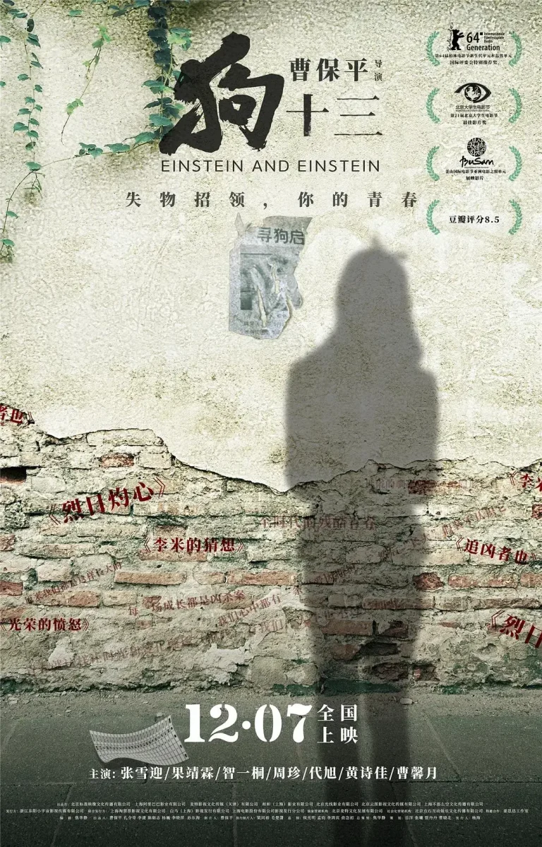 《狗十三》全集高清完整版在线观看与剧情解析