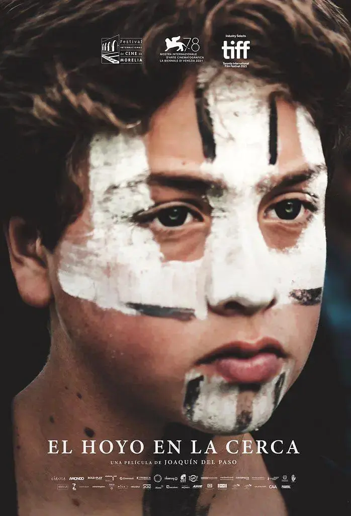 《篱之洞》全集高清完整版在线观看与剧情解析